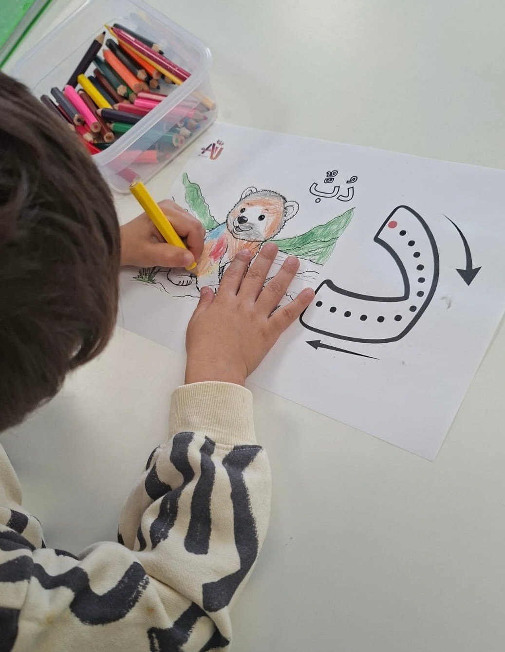 Activités en classe